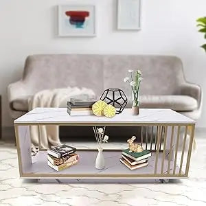 Modern White Marble Veneer Coffee Table With Gold Frame