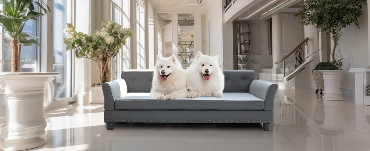 Rectangle Pet Bed For Medium And Large Dogs Elevated Sofa