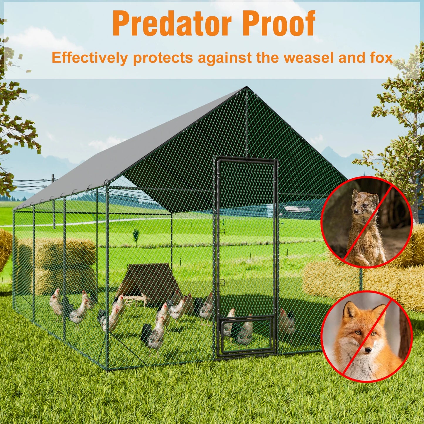 L XL XXL Upgraded Heavy Duty Metal Chicken Coop w/ Cover and Nylon Netting Pet Animal Poultry Run Hen House for Outdoor Backyard