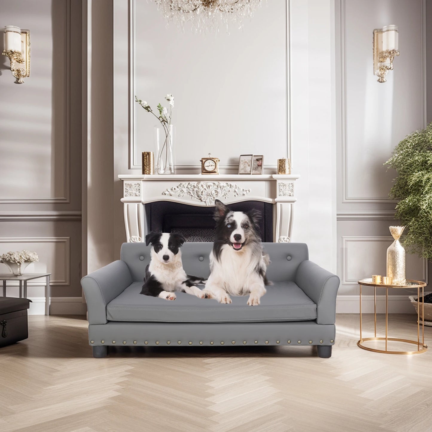 Rectangle Pet Bed For Medium And Large Dogs Elevated Sofa