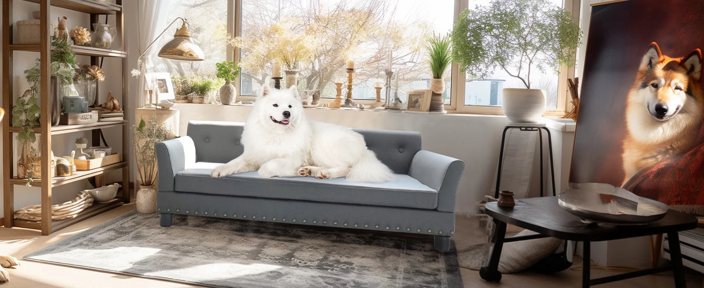 Rectangle Pet Bed For Medium And Large Dogs Elevated Sofa