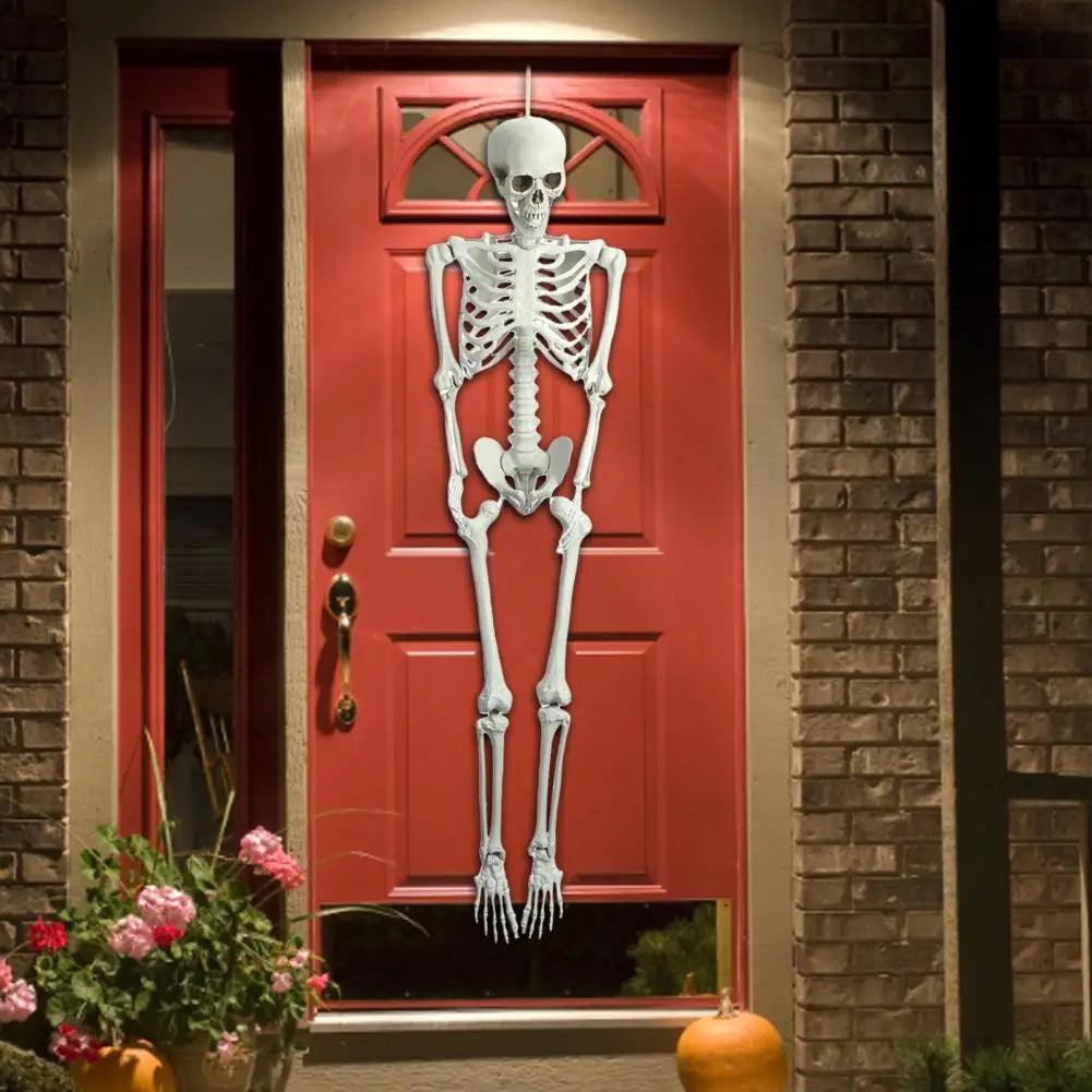 5.4ft Poseable Skeleton Prop Life Size Plastic Halloween