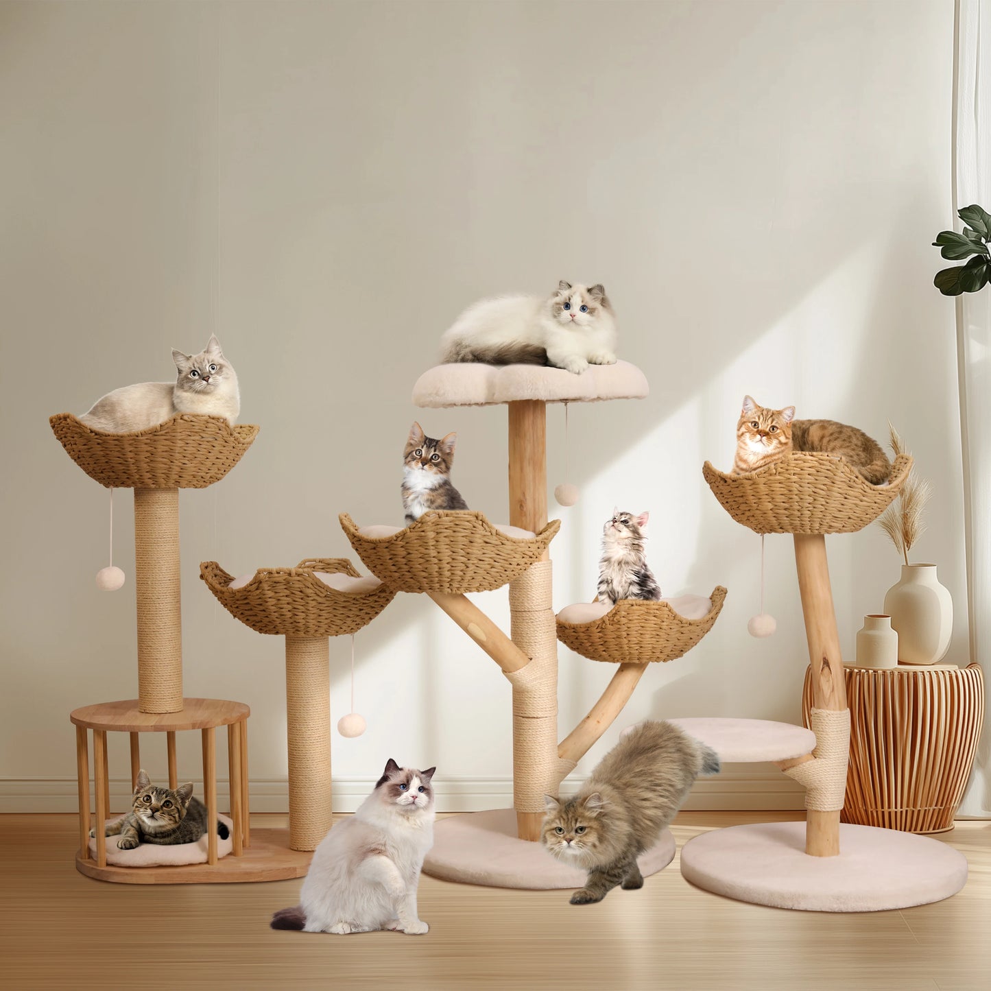 Bingopaw Cat Tree Tower Condo Scratching Post for Kittens