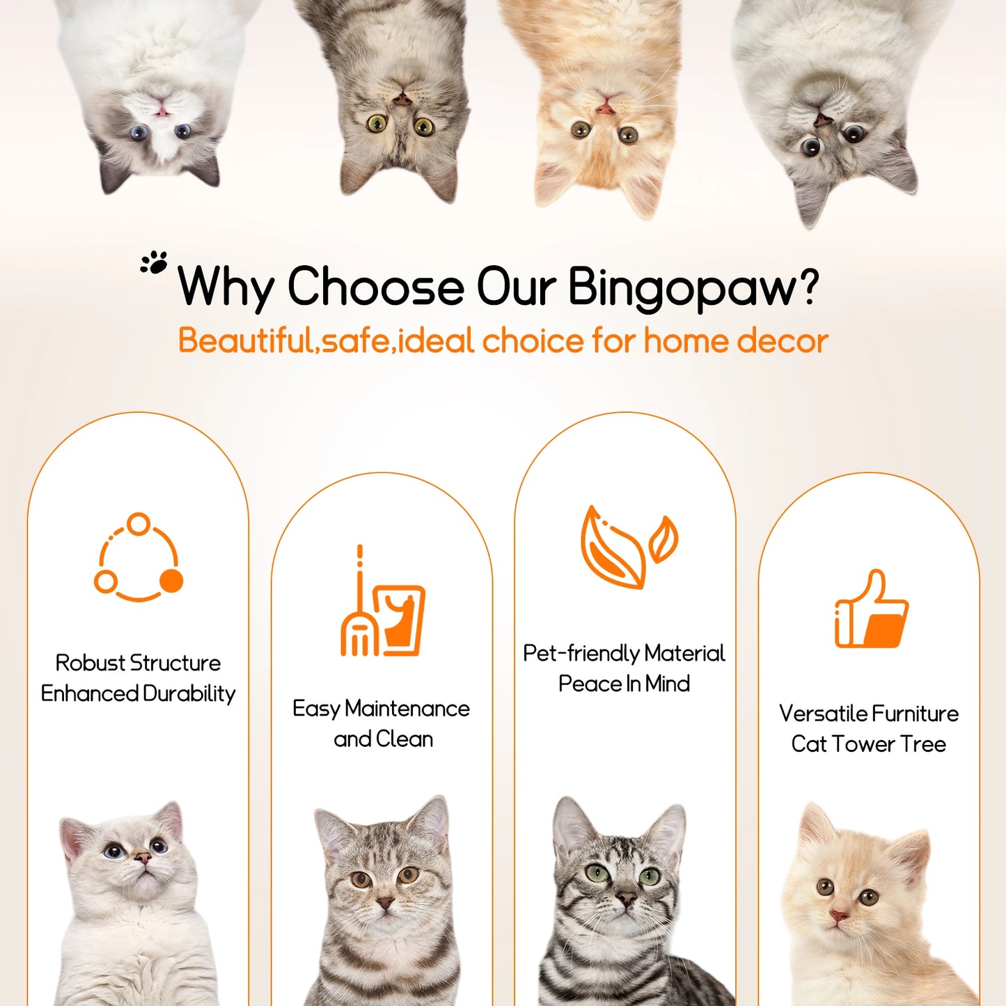 Bingopaw Cat Tree Tower Condo Scratching Post for Kittens