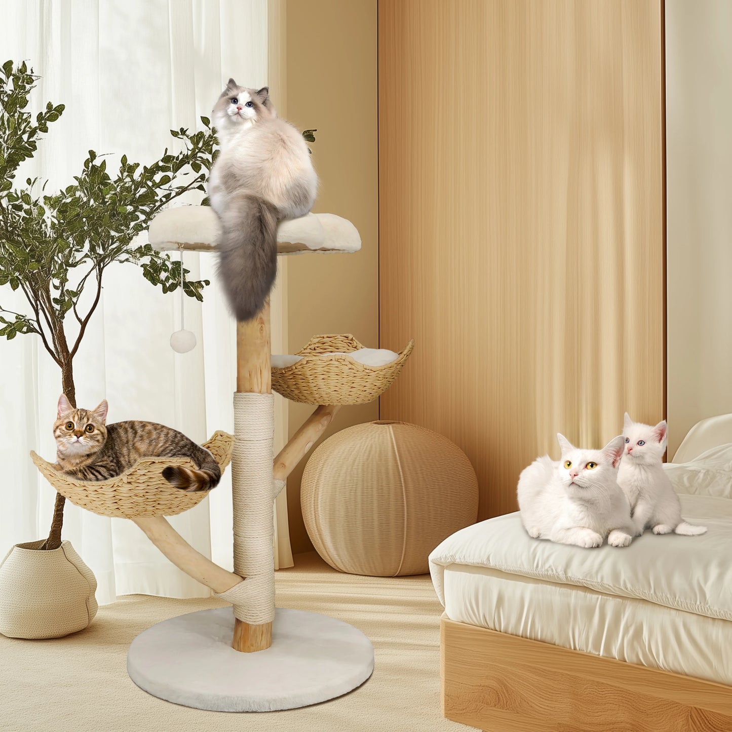 Bingopaw Cat Tree Tower Condo Scratching Post for Kittens