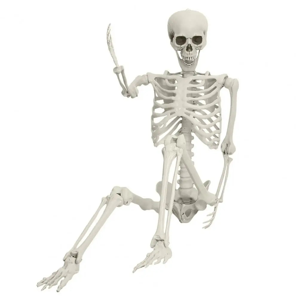 5.4ft Poseable Skeleton Prop Life Size Plastic Halloween