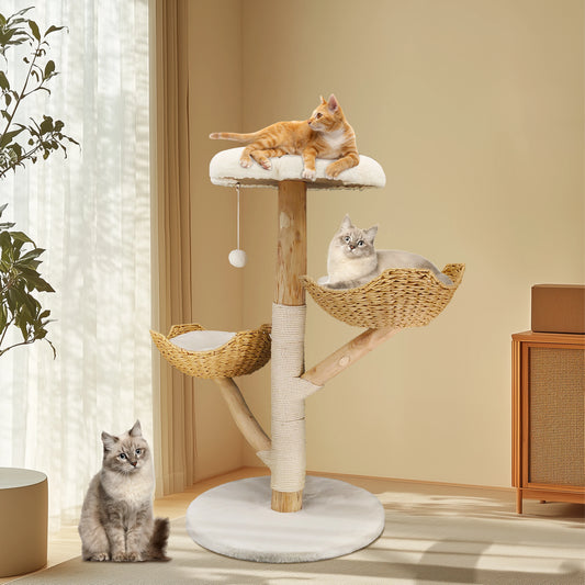 Bingopaw Cat Tree Tower Condo Scratching Post for Kittens