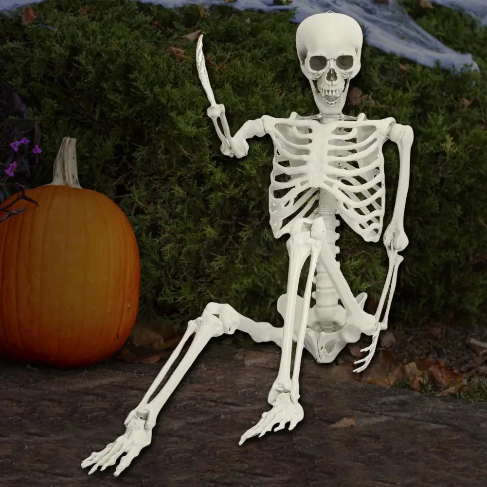 5.4ft Poseable Skeleton Prop Life Size Plastic Halloween