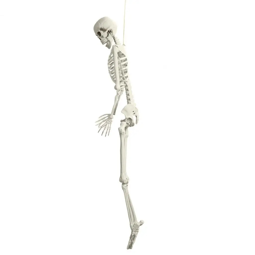 5.4ft Poseable Skeleton Prop Life Size Plastic Halloween