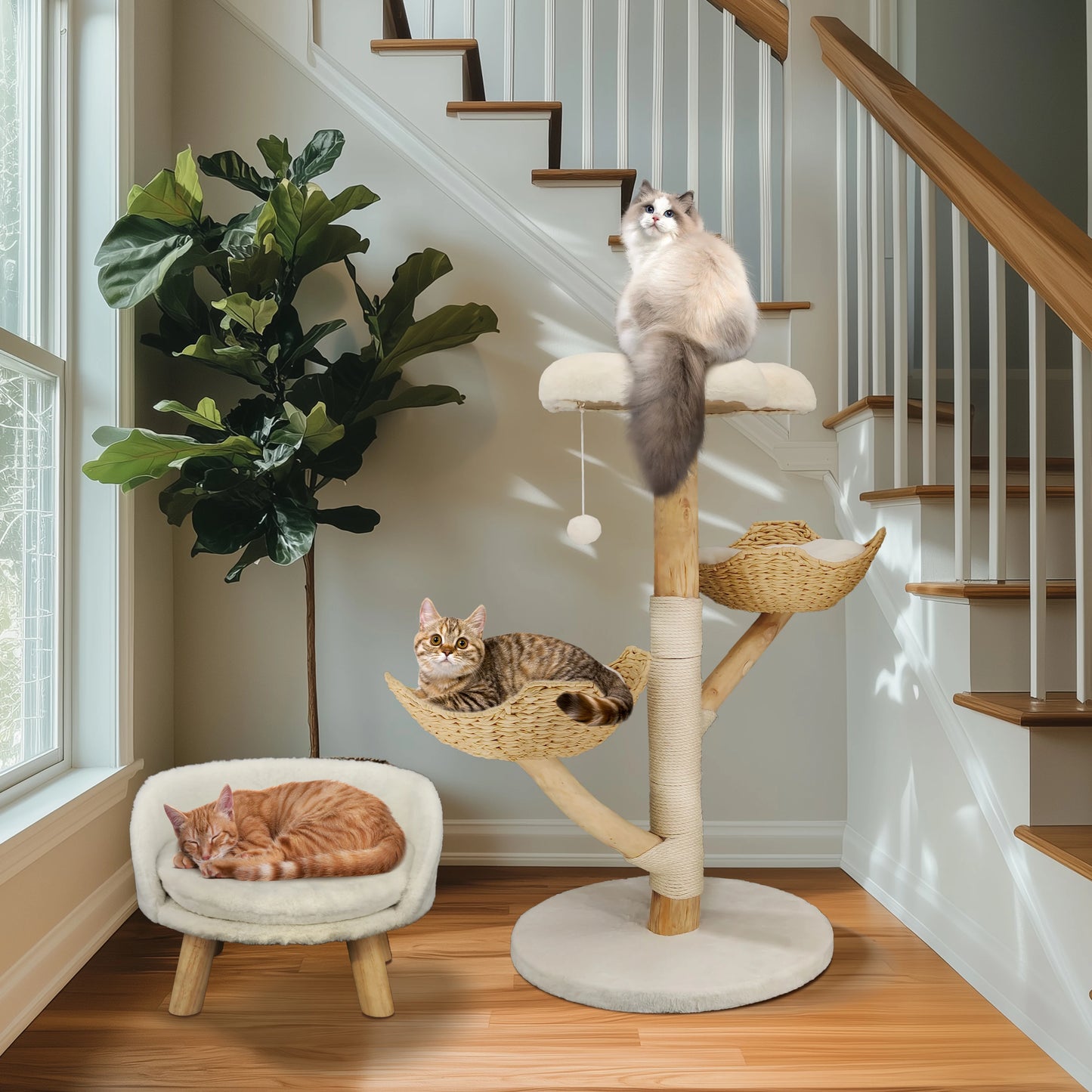 Bingopaw Cat Tree Tower Condo Scratching Post for Kittens