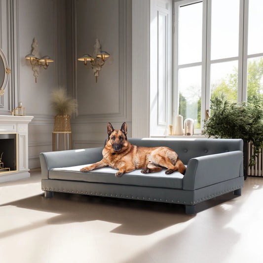 Rectangle Pet Bed For Medium And Large Dogs Elevated Sofa