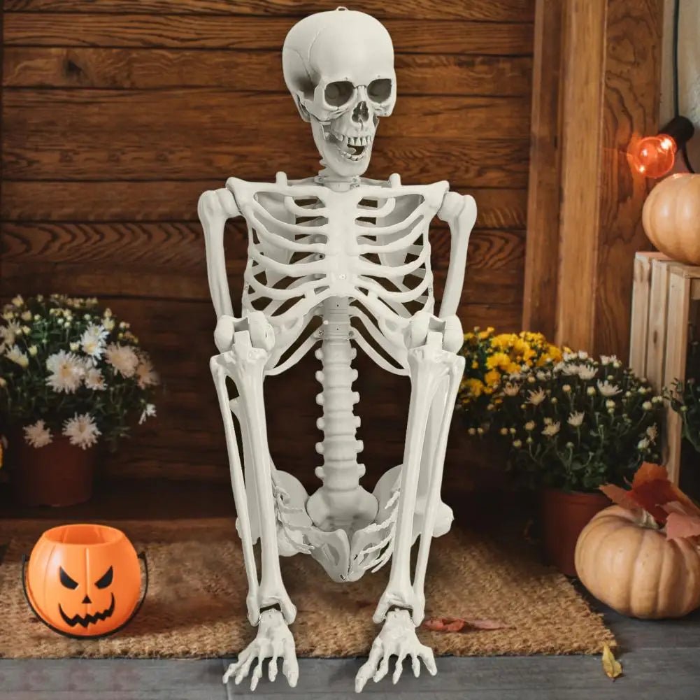 5.4ft Poseable Skeleton Prop Life Size Plastic Halloween