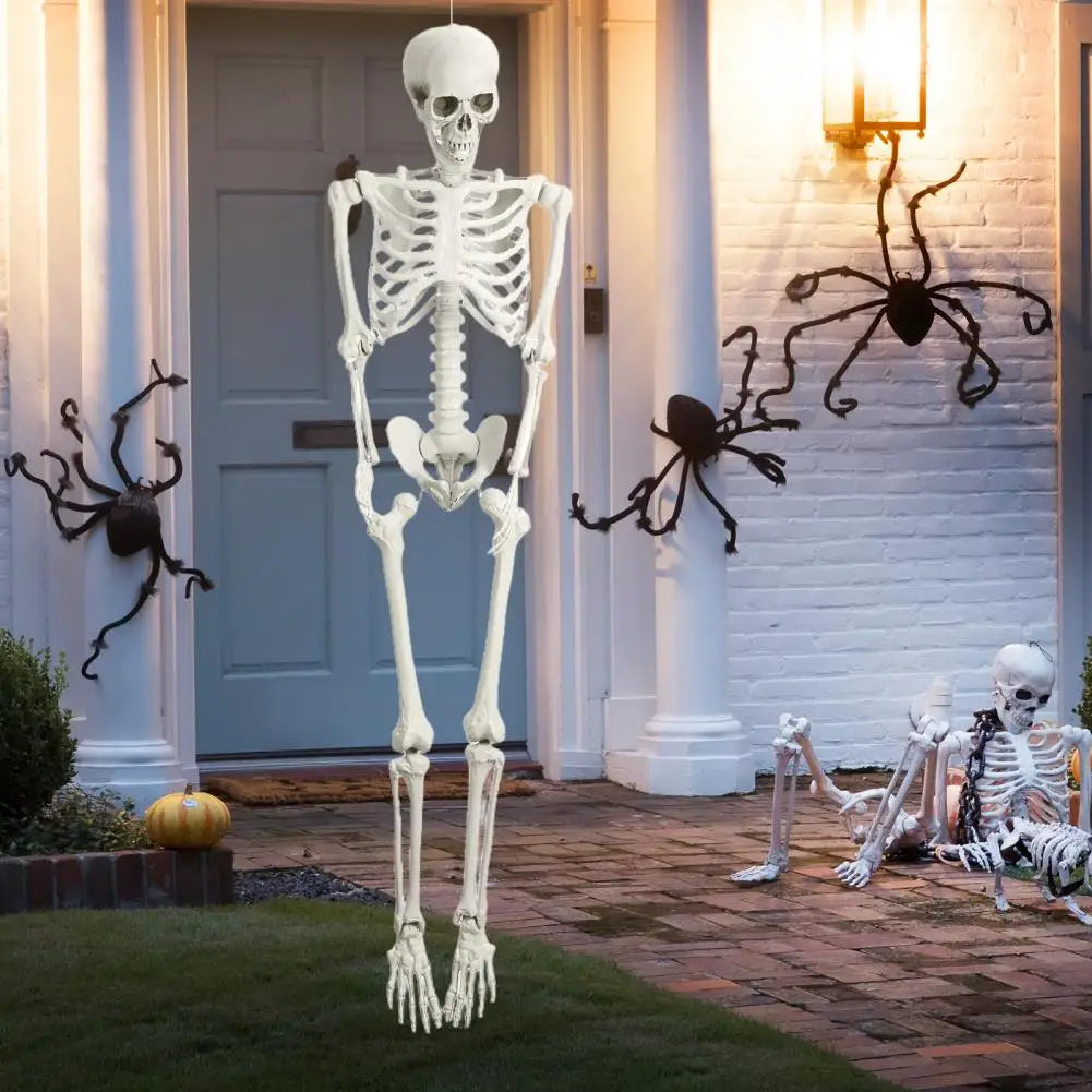 5.4ft Poseable Skeleton Prop Life Size Plastic Halloween