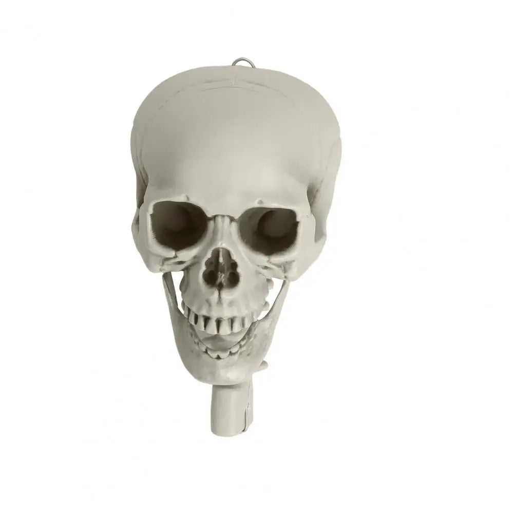 5.4ft Poseable Skeleton Prop Life Size Plastic Halloween