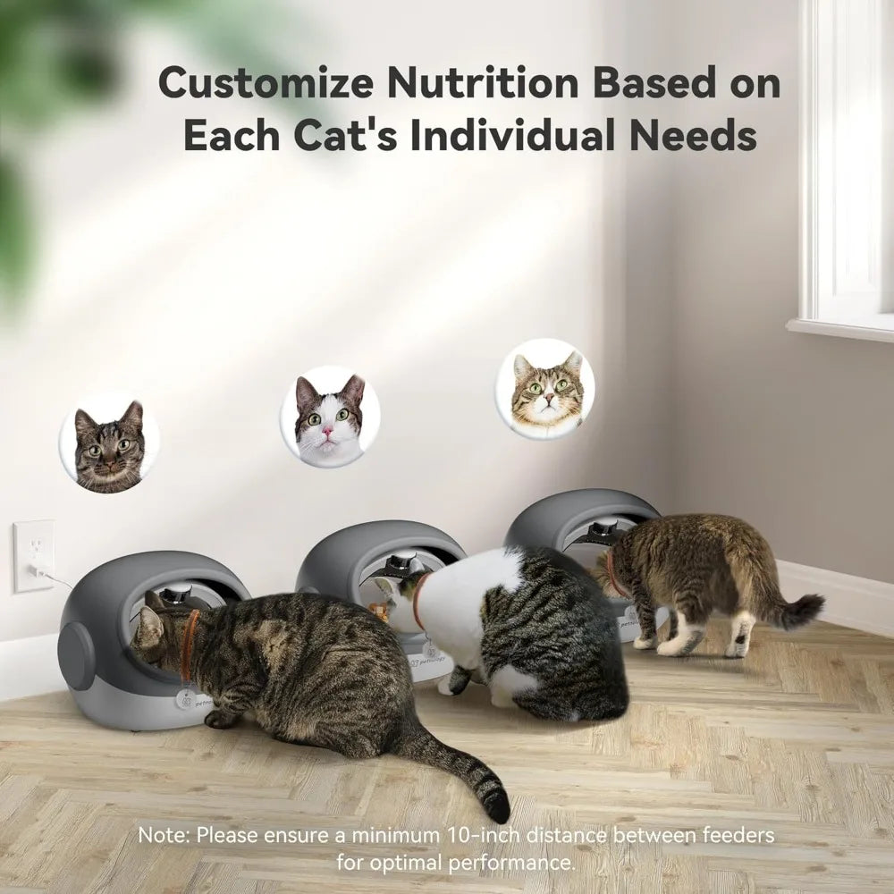 Automatic Cat Feeder, RFID Cat Food Dispenser for 4 Pets
