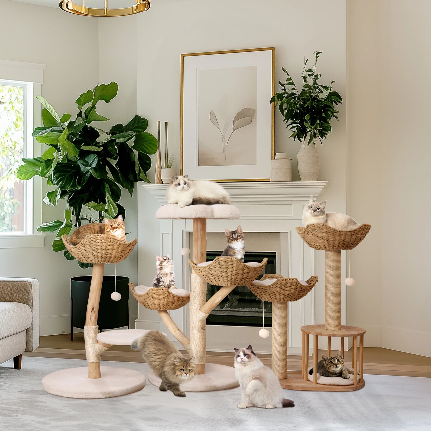 Bingopaw Cat Tree Tower Condo Scratching Post for Kittens