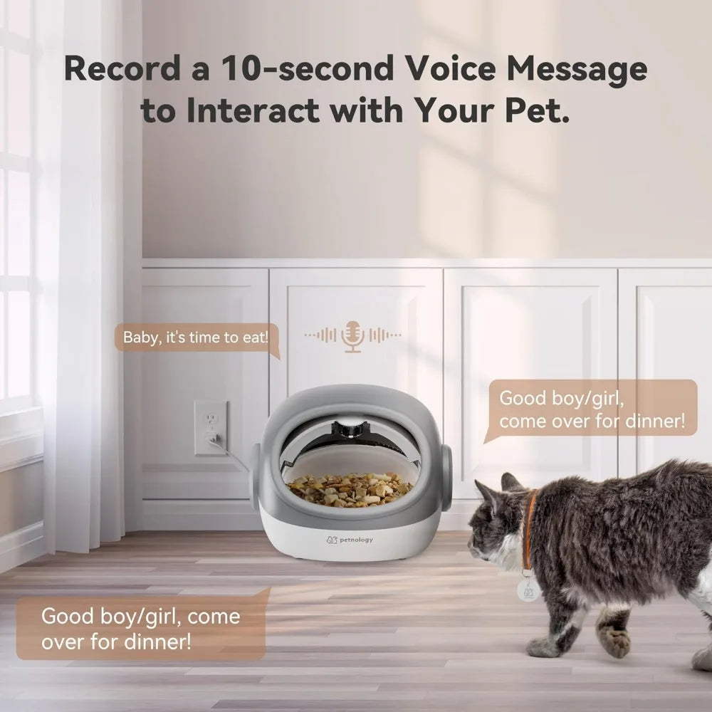 Automatic Cat Feeder, RFID Cat Food Dispenser for 4 Pets